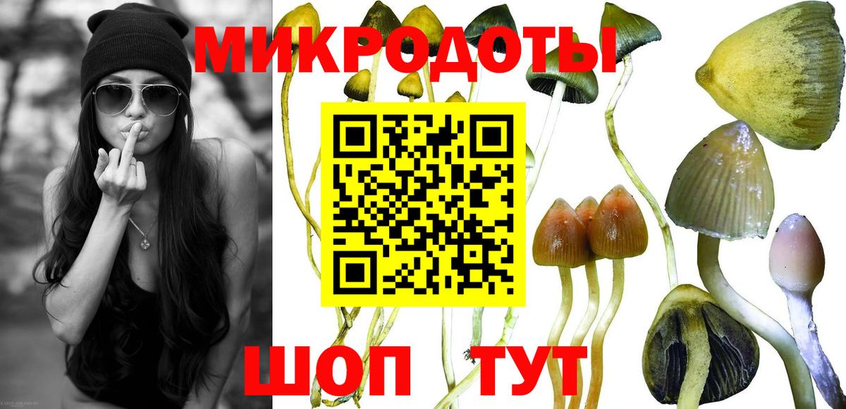 Галлюциногенные грибы MAGIC MUSHROOMS  закладка  Михайловск  Вход с VPN 