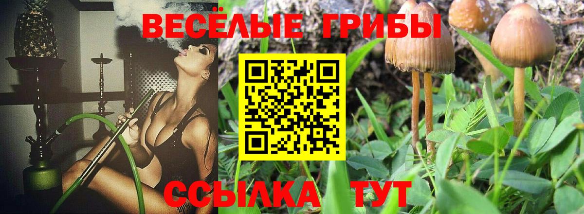 Псилоцибиновые грибы GOLDEN TEACHER Михайловск